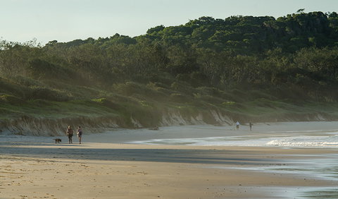 Delicate Campground - Coogee Beach Accommodation 1