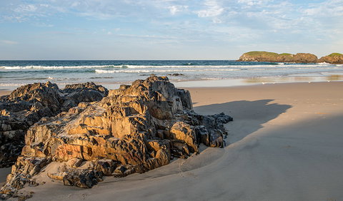 Delicate Campground - Coogee Beach Accommodation 2