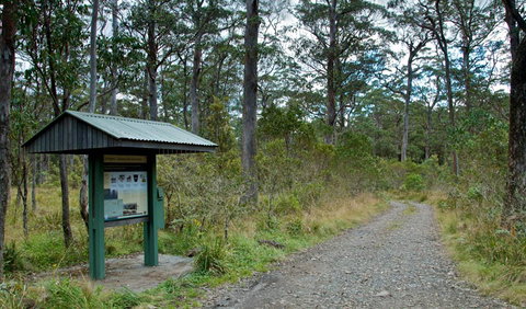 Devils Hole Campground And Picnic Area - Coogee Beach Accommodation 1