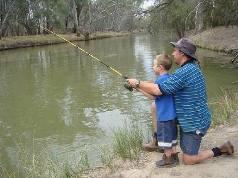 Riverview Caravan Park - Coogee Beach Accommodation 4