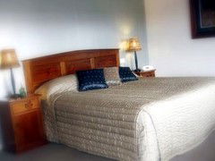 Saltbush Motor Inn - Coogee Beach Accommodation 4