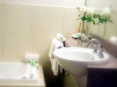 Saltbush Motor Inn - Coogee Beach Accommodation 5