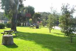 Sapphire Sun Eco Holiday Village - Coogee Beach Accommodation 0