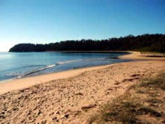 Seahorse Inn Hotel - Coogee Beach Accommodation 4