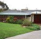 Selwyn Cottage - Coogee Beach Accommodation