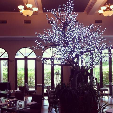 Shangri-La Gardens - Coogee Beach Accommodation 1