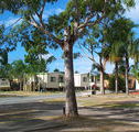 Sheldon Caravan Park - Coogee Beach Accommodation
