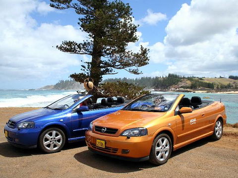 Shiralee Executive Cottages - Coogee Beach Accommodation 3