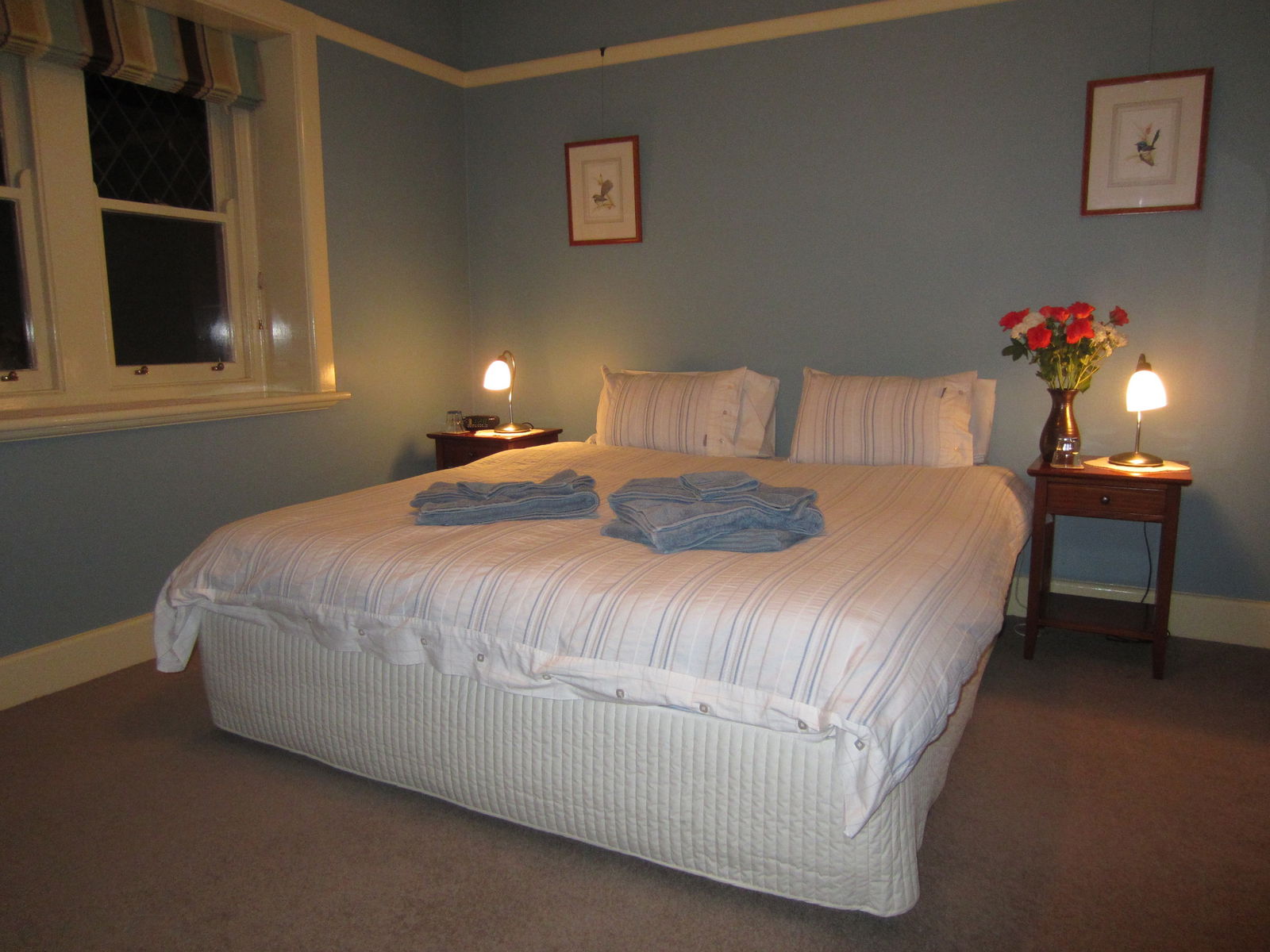 Camberwell VIC Coogee Beach Accommodation
