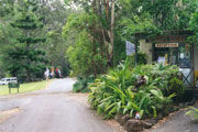 Tamborine Mountain Caravan & Camping - Coogee Beach Accommodation 0