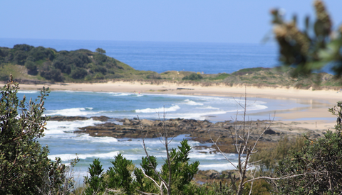 The Bowlo Holiday Cabins - Coogee Beach Accommodation 0