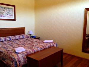 Shady Trees Barrington - Coogee Beach Accommodation 2