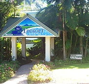 The Lookout Noosa - Coogee Beach Accommodation