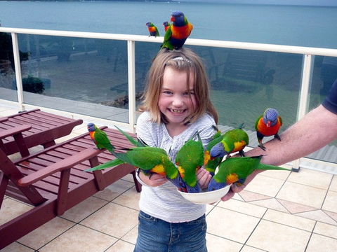 The Mitchells Waterfront Bed & Breakfast - Coogee Beach Accommodation 3