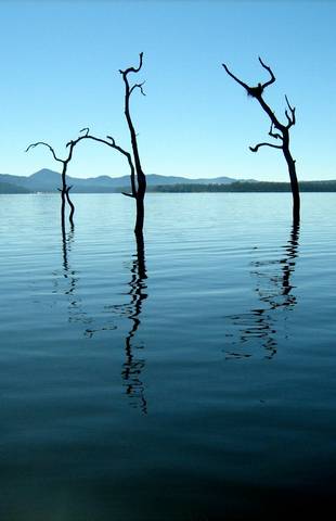 Tinaroo Lake Resort - Holiday Apartments - Coogee Beach Accommodation 11