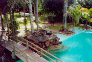 Tropical Gardens Motor Inn - Coogee Beach Accommodation 4