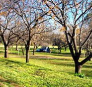 Wellington Caves Caravan Park - Coogee Beach Accommodation