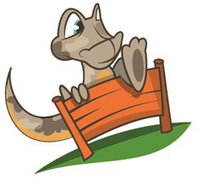 Dare Adventures - Coogee Beach Accommodation