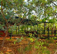 Arnhemland Barramundi Nature Lodge - Coogee Beach Accommodation