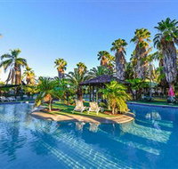 Desert Palms Alice Springs - Coogee Beach Accommodation