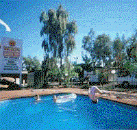 Wintersun Cabin and Caravan Park - Coogee Beach Accommodation
