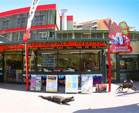 Youth Shack - Coogee Beach Accommodation 3