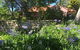 Lemon Peel House - thumb 0