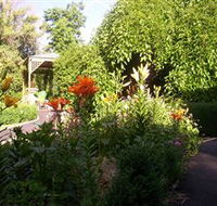 Blue Wren Cottage - Coogee Beach Accommodation