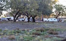 Four Mile Camping Reserve - Coogee Beach Accommodation 1