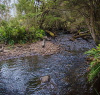 Horse Swamp campground - Coogee Beach Accommodation
