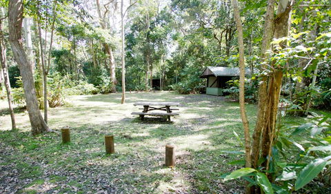 Iron Pot Creek Campground - Coogee Beach Accommodation 0