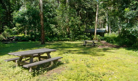 Iron Pot Creek Campground - Coogee Beach Accommodation 1