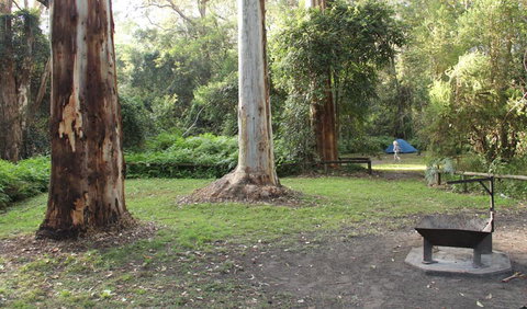 Mill Creek Campground - Coogee Beach Accommodation 2