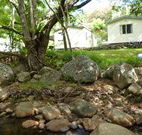 Mt Warning Rainforest Park - Coogee Beach Accommodation
