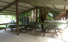 Mt Warning Rainforest Park - Coogee Beach Accommodation 4
