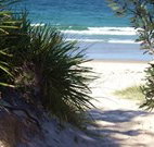 Myola Tourist Resort Caravan Park - Coogee Beach Accommodation