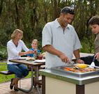 Port Stephens Treescape - Coogee Beach Accommodation