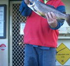 Rainbow Pines Tourist Caravan Park - Coogee Beach Accommodation