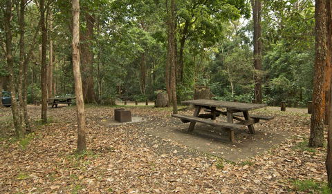 Sheepstation Creek Campground - Coogee Beach Accommodation 0