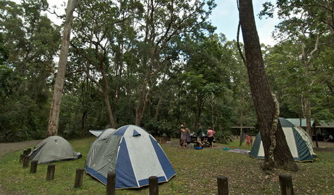 Sheepstation Creek Campground - Coogee Beach Accommodation 2