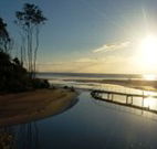 Spot X Surf - Coogee Beach Accommodation
