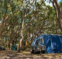 Stewart and Lloyds campground - Coogee Beach Accommodation