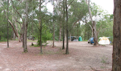 Wallingat River Campground - Coogee Beach Accommodation 0