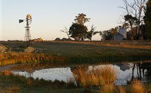 Warreen Farmstay Rural Accommodation - Coogee Beach Accommodation 1