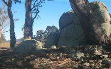 Warreen Farmstay Rural Accommodation - Coogee Beach Accommodation 0