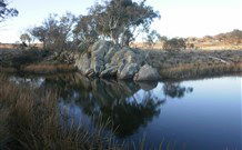 Warreen Farmstay Rural Accommodation - Coogee Beach Accommodation 4