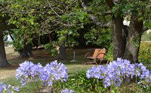 Warreen Farmstay Rural Accommodation - Coogee Beach Accommodation 3