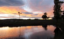 Warreen Farmstay Rural Accommodation - Coogee Beach Accommodation 5