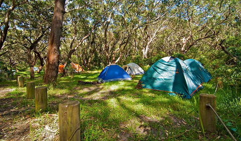 Yagon Campground - Coogee Beach Accommodation 2