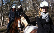 JE Resort (Jindabyne Equestrian Resort) - Coogee Beach Accommodation 1